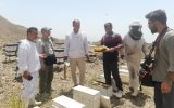 نیش هایی که از خارج و داخل به زنبوردار می زنند| پاسخ جهاد کشاورزی به گلایه تولید کنندگان عسل