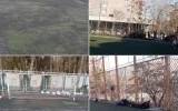 نبود نظارت واگذاری زمین چمن، باعث فساد و مافیا می‌شود